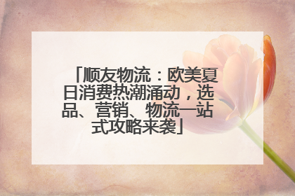 顺友物流：欧美夏日消费热潮涌动，选品、营销、物流一站式攻略来袭