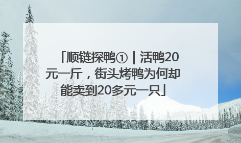 顺链探鸭①｜活鸭20元一斤，街头烤鸭为何却能卖到20多元一只