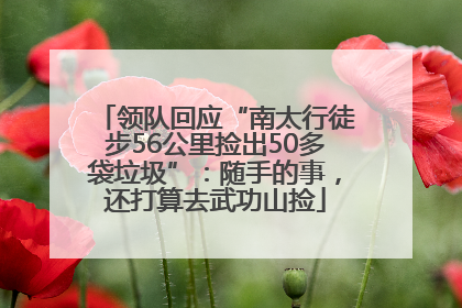 领队回应“南太行徒步56公里捡出50多袋垃圾”：随手的事，还打算去武功山捡