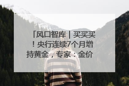 风口智库｜买买买！央行连续7个月增持黄金，专家：金价或仍易涨难跌