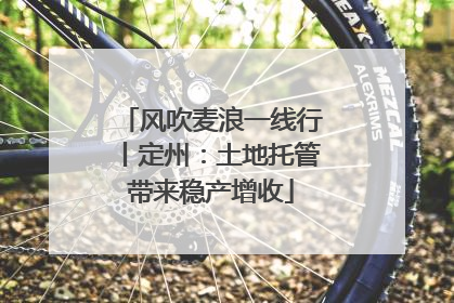 风吹麦浪一线行丨定州：土地托管带来稳产增收