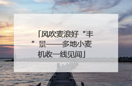 风吹麦浪好“丰”景——多地小麦机收一线见闻