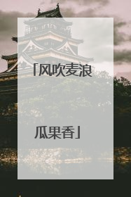 风吹麦浪 瓜果香
