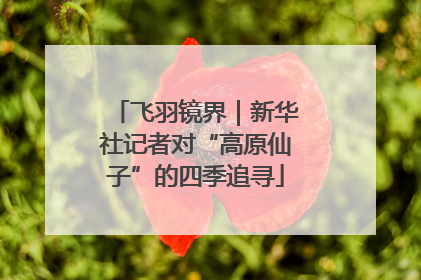 飞羽镜界｜新华社记者对“高原仙子”的四季追寻