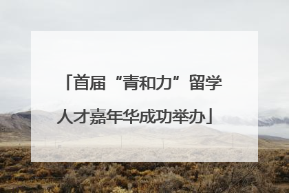 首届“青和力”留学人才嘉年华成功举办