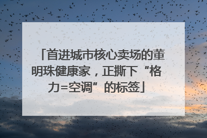 首进城市核心卖场的董明珠健康家，正撕下“格力=空调”的标签