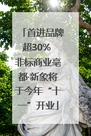 首进品牌超30% 非标商业亳都·新象将于今年“十一”开业