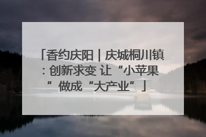 香约庆阳｜庆城桐川镇：创新求变 让“小苹果”做成“大产业”