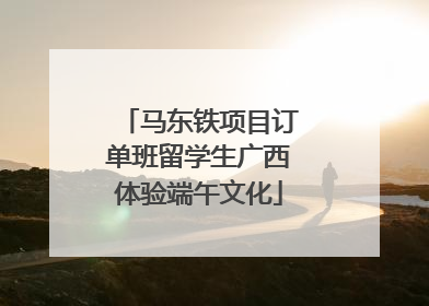 马东铁项目订单班留学生广西体验端午文化