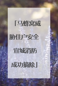 马蜂窝威胁住户安全 宣城消防成功摘除