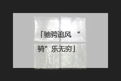 驰骋追风 “骑”乐无穷