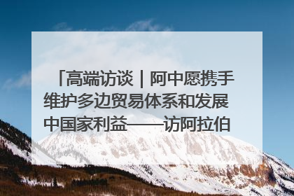 高端访谈｜阿中愿携手维护多边贸易体系和发展中国家利益——访阿拉伯议会议长亚马希