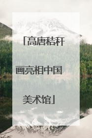 高唐秸秆画亮相中国美术馆