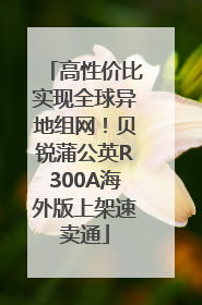 高性价比实现全球异地组网！贝锐蒲公英R300A海外版上架速卖通
