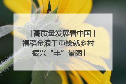 高质量发展看中国丨福稻金浪千重绘就乡村振兴“丰”景图