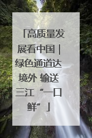 高质量发展看中国｜绿色通道达境外 输送三江“一口鲜”