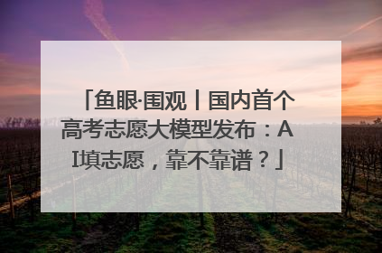 鱼眼·围观丨国内首个高考志愿大模型发布：AI填志愿，靠不靠谱？
