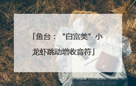 鱼台：“白富美”小龙虾跳动增收音符
