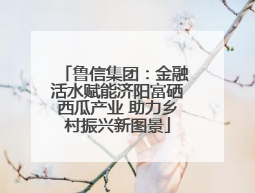 鲁信集团：金融活水赋能济阳富硒西瓜产业 助力乡村振兴新图景