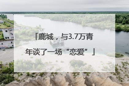 鹿城，与3.7万青年谈了一场“恋爱”