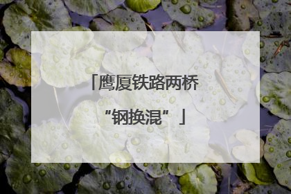 鹰厦铁路两桥“钢换混”