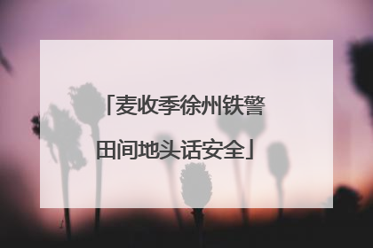 麦收季徐州铁警田间地头话安全