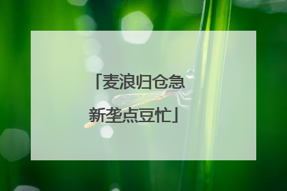 麦浪归仓急 新垄点豆忙