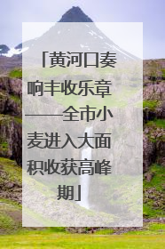 黄河口奏响丰收乐章——全市小麦进入大面积收获高峰期