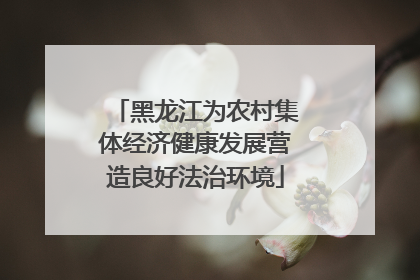黑龙江为农村集体经济健康发展营造良好法治环境