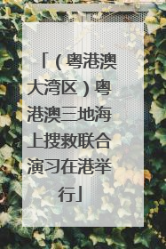 （粤港澳大湾区）粤港澳三地海上搜救联合演习在港举行