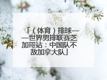 （体育）排球——世界男排联赛芝加哥站：中国队不敌加拿大队