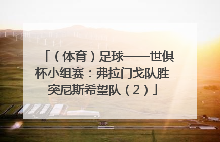 （体育）足球——世俱杯小组赛：弗拉门戈队胜突尼斯希望队（2）