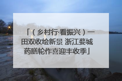 （乡村行·看振兴）一田双收绘新景 浙江婺城药膳轮作喜迎丰收季