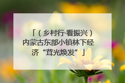 （乡村行·看振兴）内蒙古东部小镇林下经济“茸光焕发”