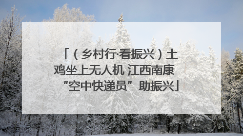 （乡村行·看振兴）土鸡坐上无人机 江西南康“空中快递员”助振兴