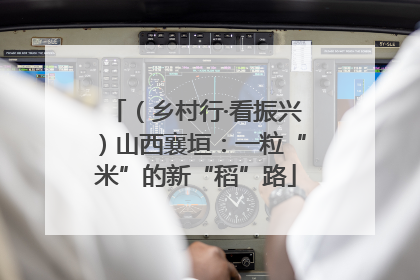 （乡村行·看振兴）山西襄垣：一粒“米”的新“稻”路