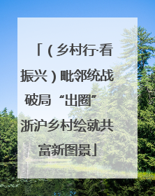 （乡村行·看振兴）毗邻统战破局“出圈” 浙沪乡村绘就共富新图景