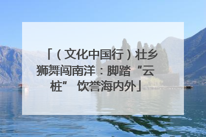 （文化中国行）壮乡狮舞闯南洋：脚踏“云桩” 饮誉海内外