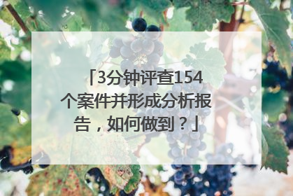 3分钟评查154个案件并形成分析报告，如何做到？