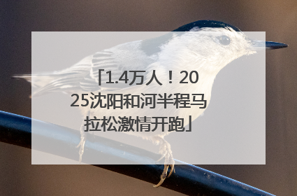 1.4万人！2025沈阳和河半程马拉松激情开跑