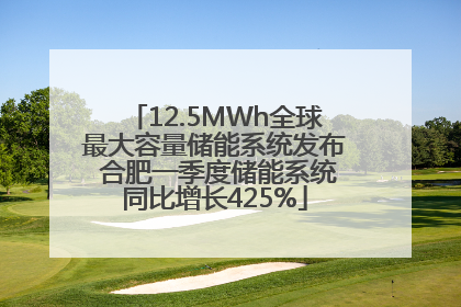 12.5MWh全球最大容量储能系统发布 合肥一季度储能系统同比增长425%