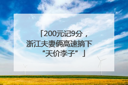 200元记9分，浙江夫妻俩高速摘下“天价李子”