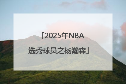 2025年NBA选秀球员之杨瀚森