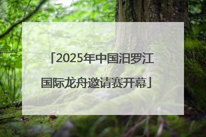 2025年中国汨罗江国际龙舟邀请赛开幕