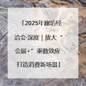 2025年廊坊经洽会·深度｜放大“会展+”乘数效应 打造消费新场景