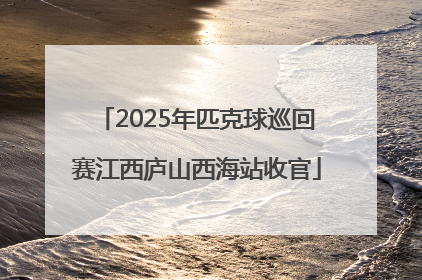 2025年匹克球巡回赛江西庐山西海站收官