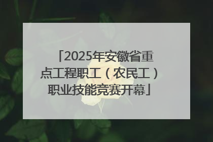 2025年安徽省重点工程职工（农民工）职业技能竞赛开幕