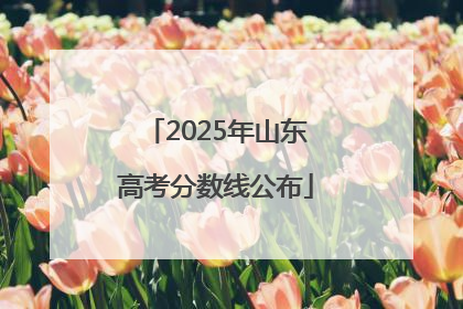 2025年山东高考分数线公布