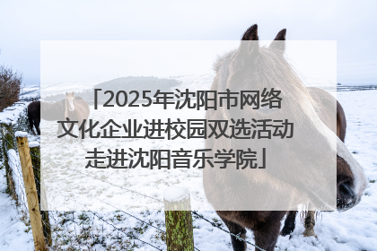 2025年沈阳市网络文化企业进校园双选活动走进沈阳音乐学院