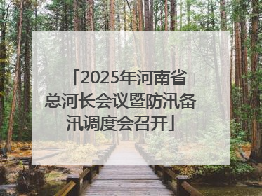 2025年河南省总河长会议暨防汛备汛调度会召开